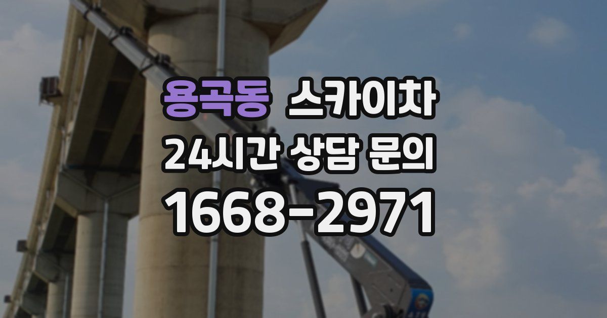 용곡동 스카이차