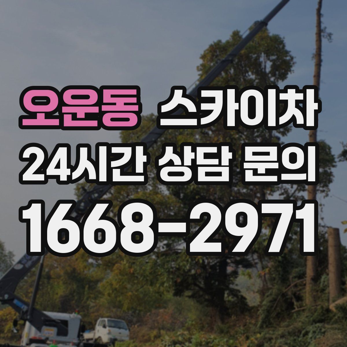 오운동 스카이차