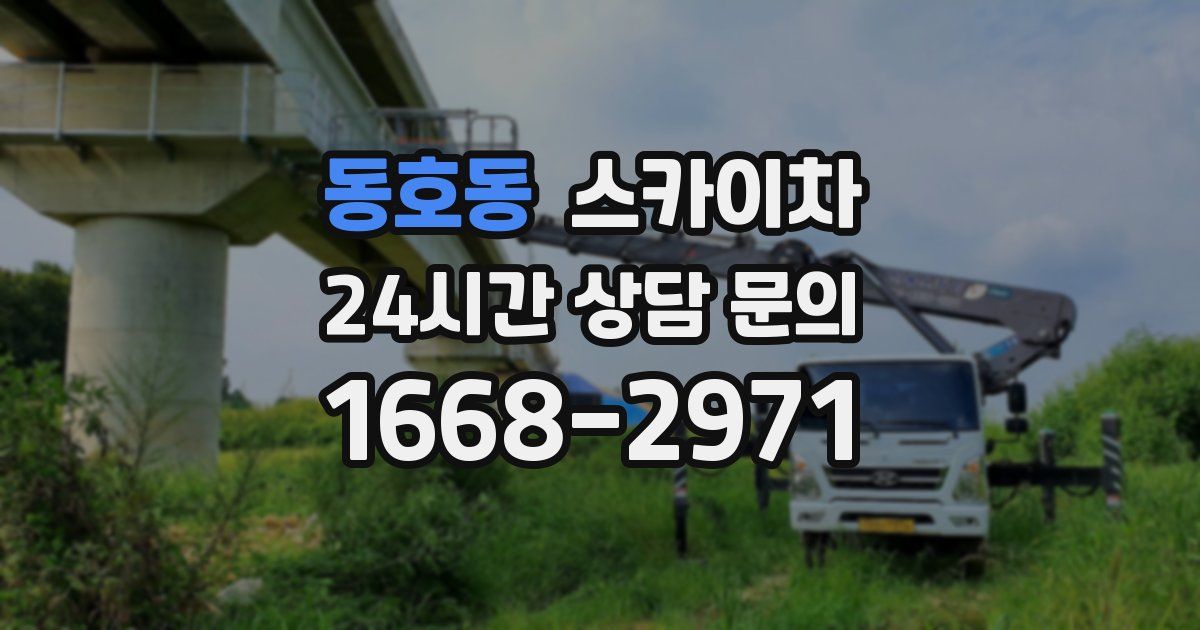 동호동 스카이차