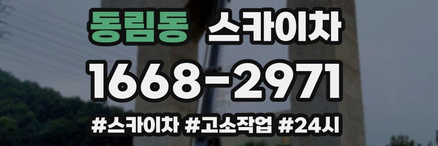 동림동 스카이차