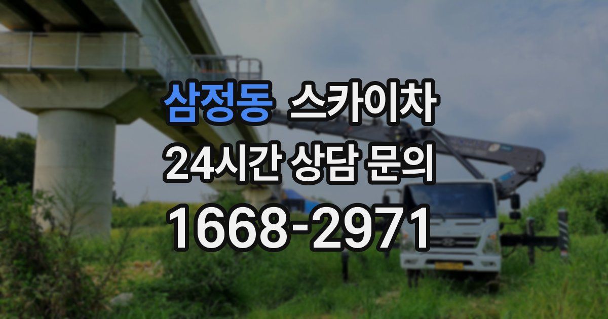 삼정동 스카이차