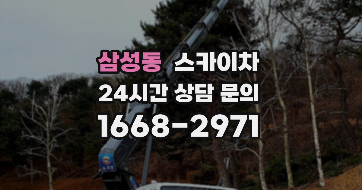 삼성동 스카이차