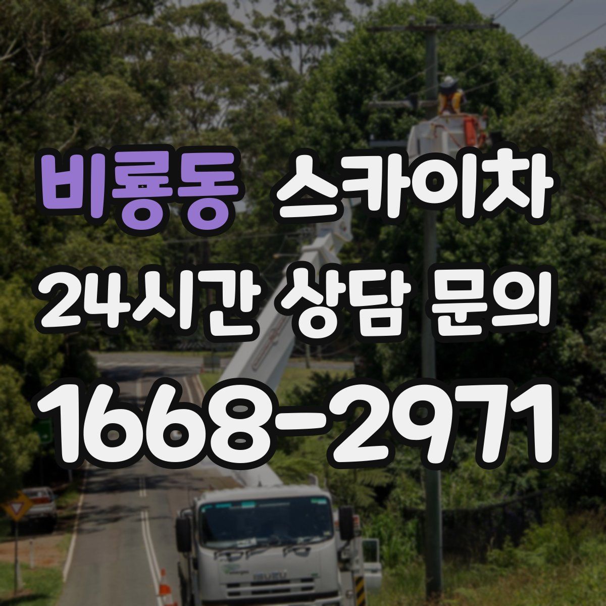 비룡동 스카이차