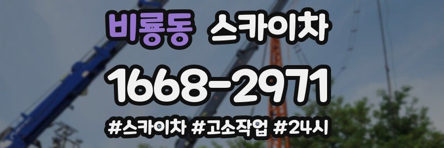 비룡동 스카이차