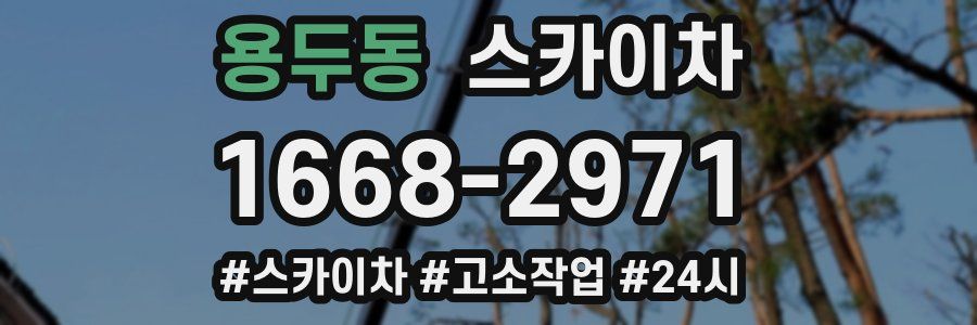 용두동 스카이차