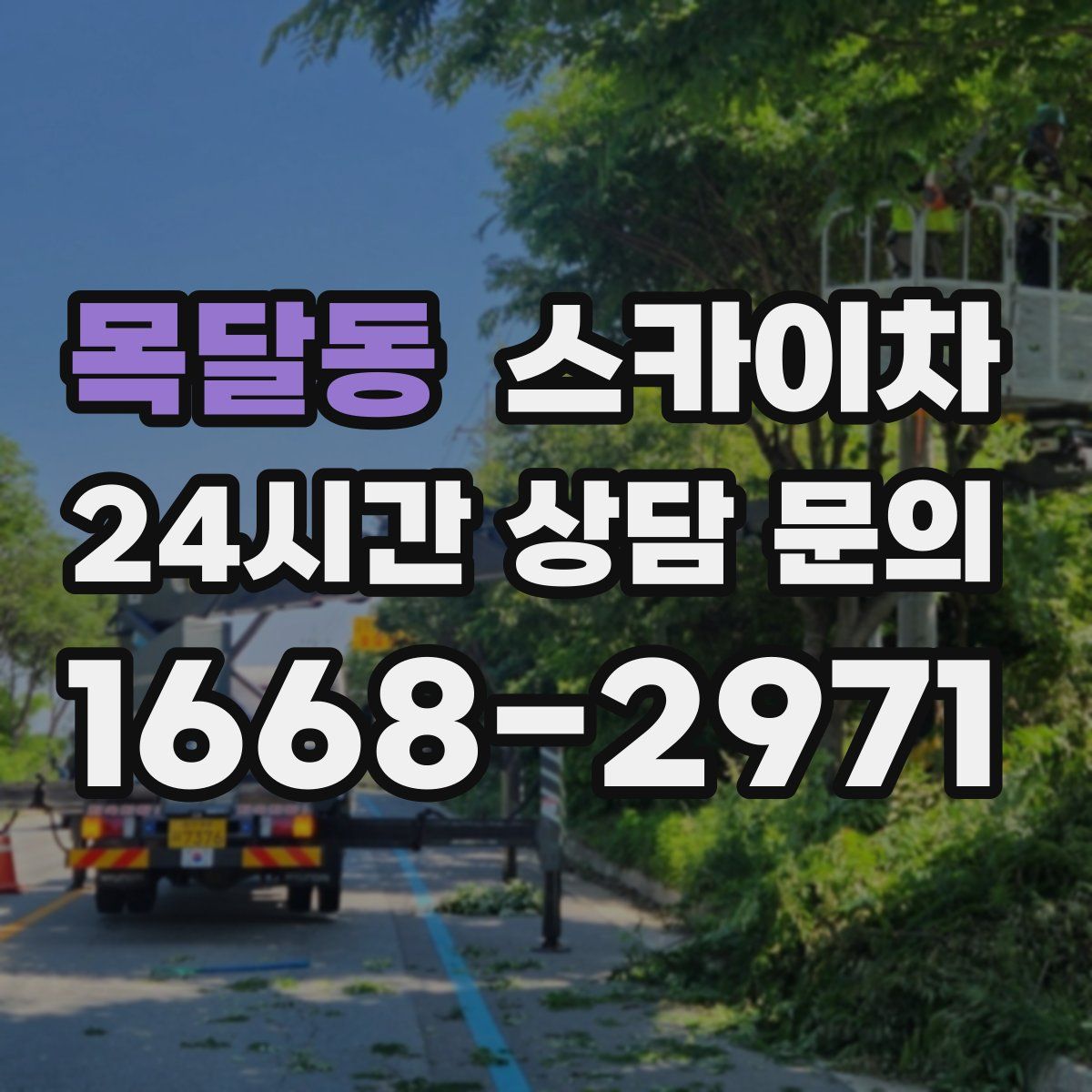 목달동 스카이차