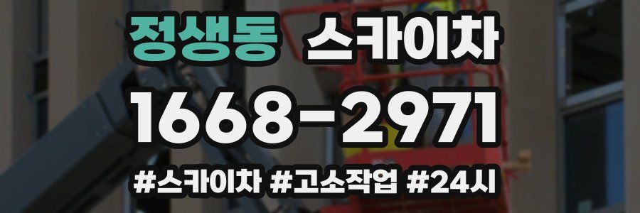 정생동 스카이차