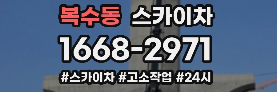 복수동 스카이차