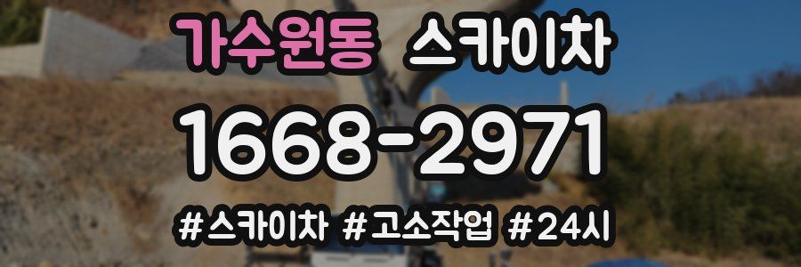 가수원동 스카이차