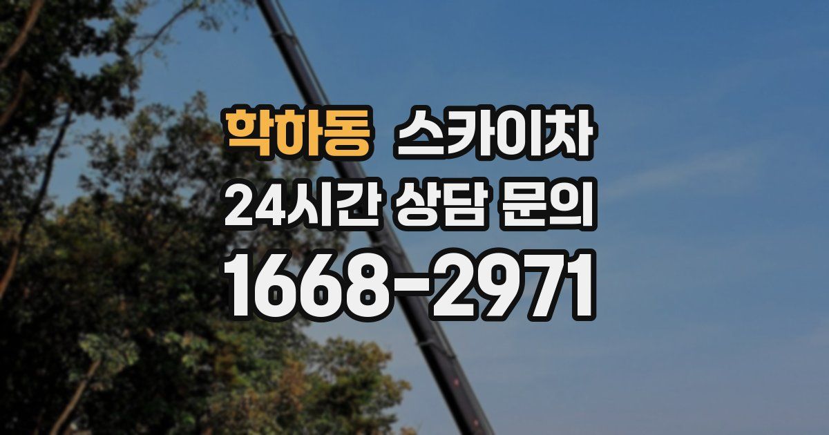 학하동 스카이차