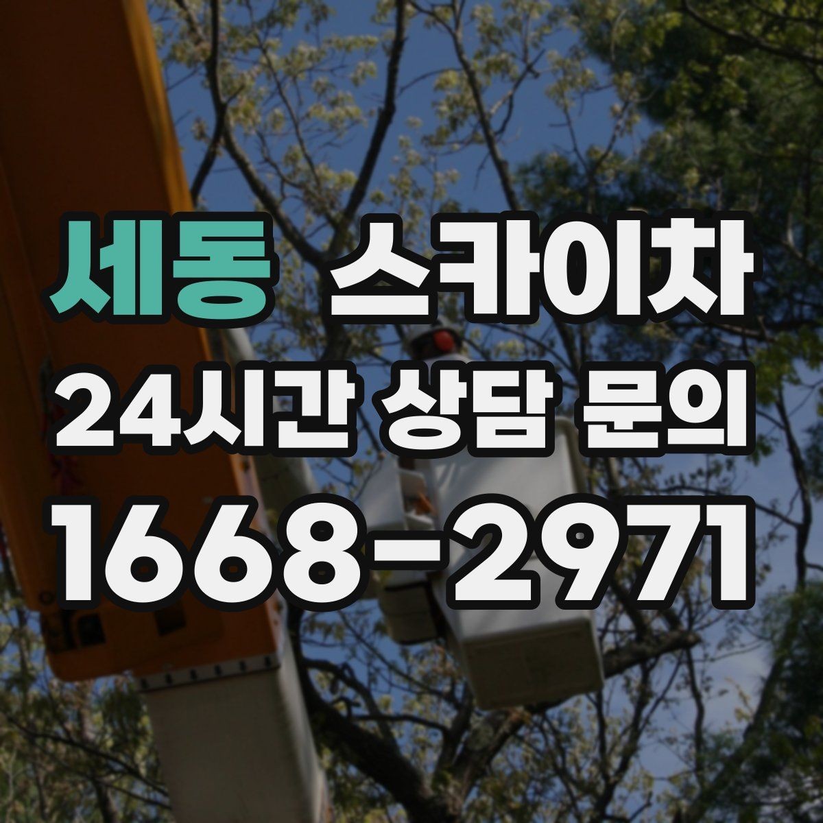 세동 스카이차 3층 간판 작업 시 안전 포인트