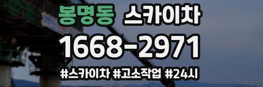 봉명동 스카이차