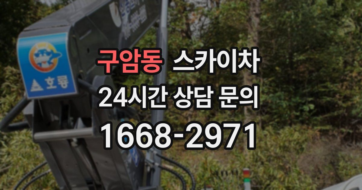 구암동 스카이차