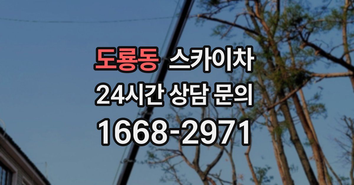 도룡동 스카이차