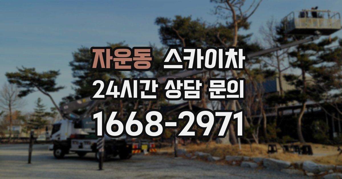 자운동 스카이차