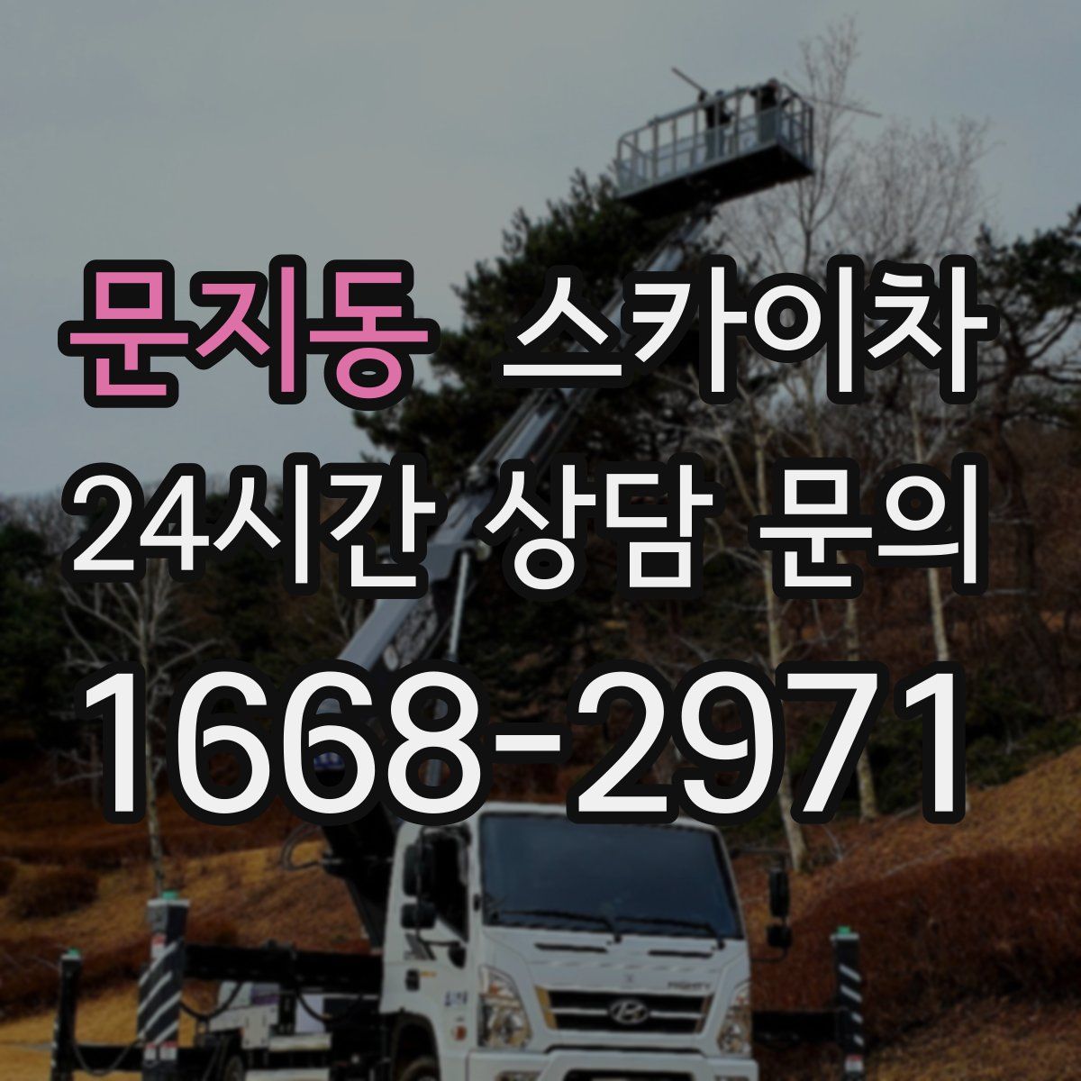 문지동 스카이차