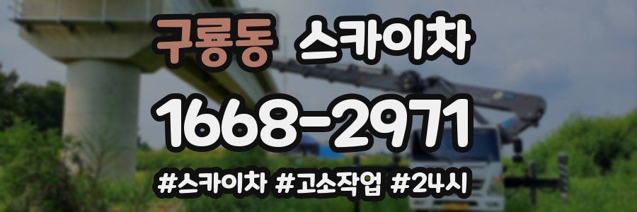 구룡동 스카이차