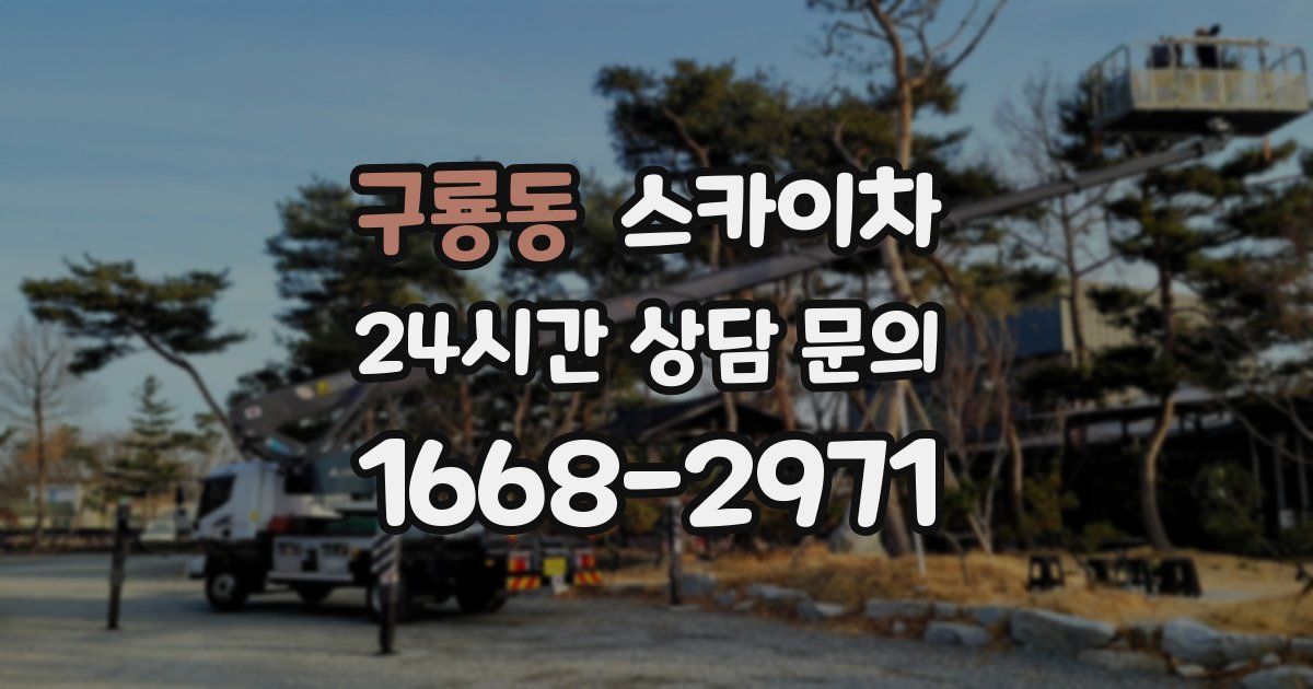 구룡동 스카이차