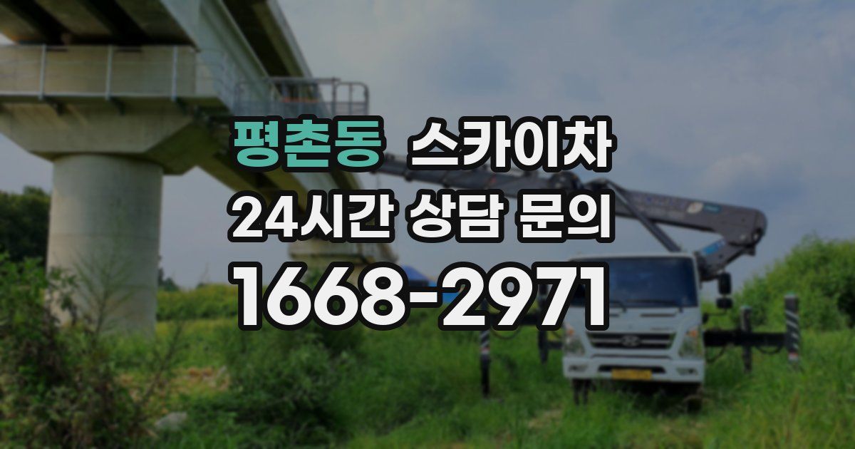 평촌동 스카이차