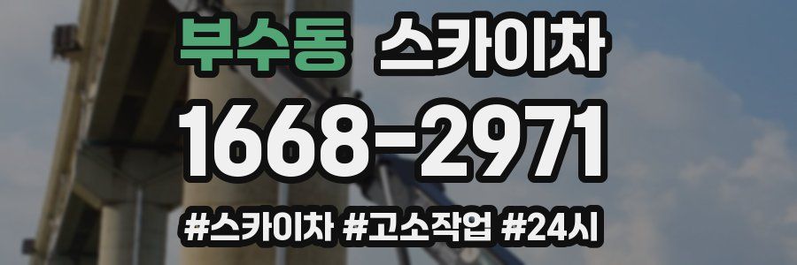 부수동 스카이차