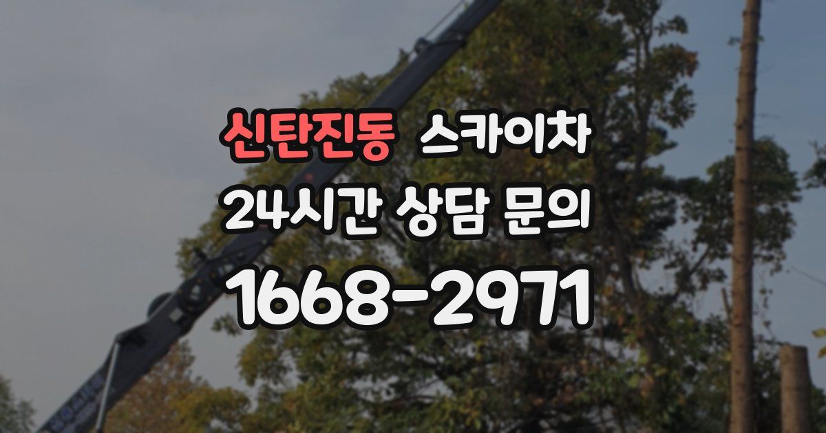 신탄진동 스카이차