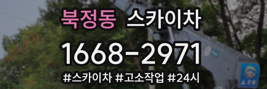 북정동 스카이차