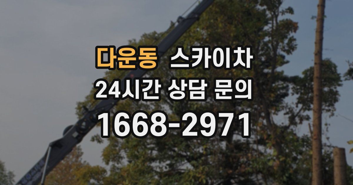 다운동 스카이차