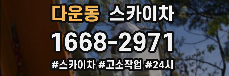 다운동 스카이차