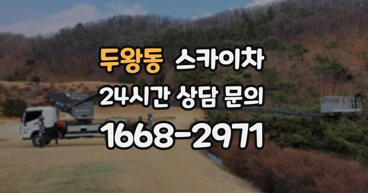 두왕동 스카이차