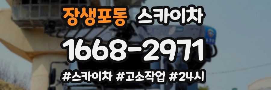 장생포동 스카이차