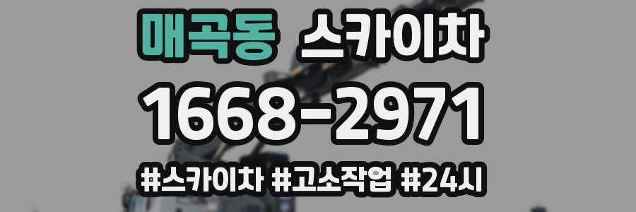 매곡동 스카이차