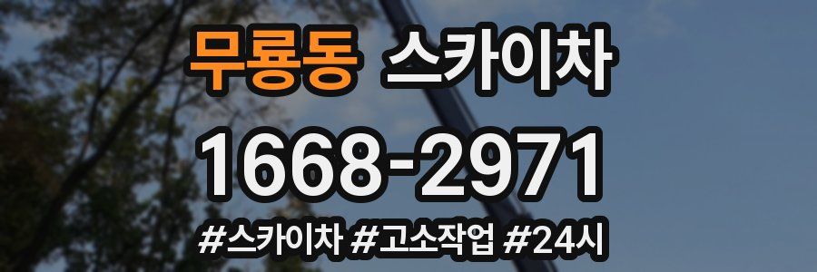 무룡동 스카이차