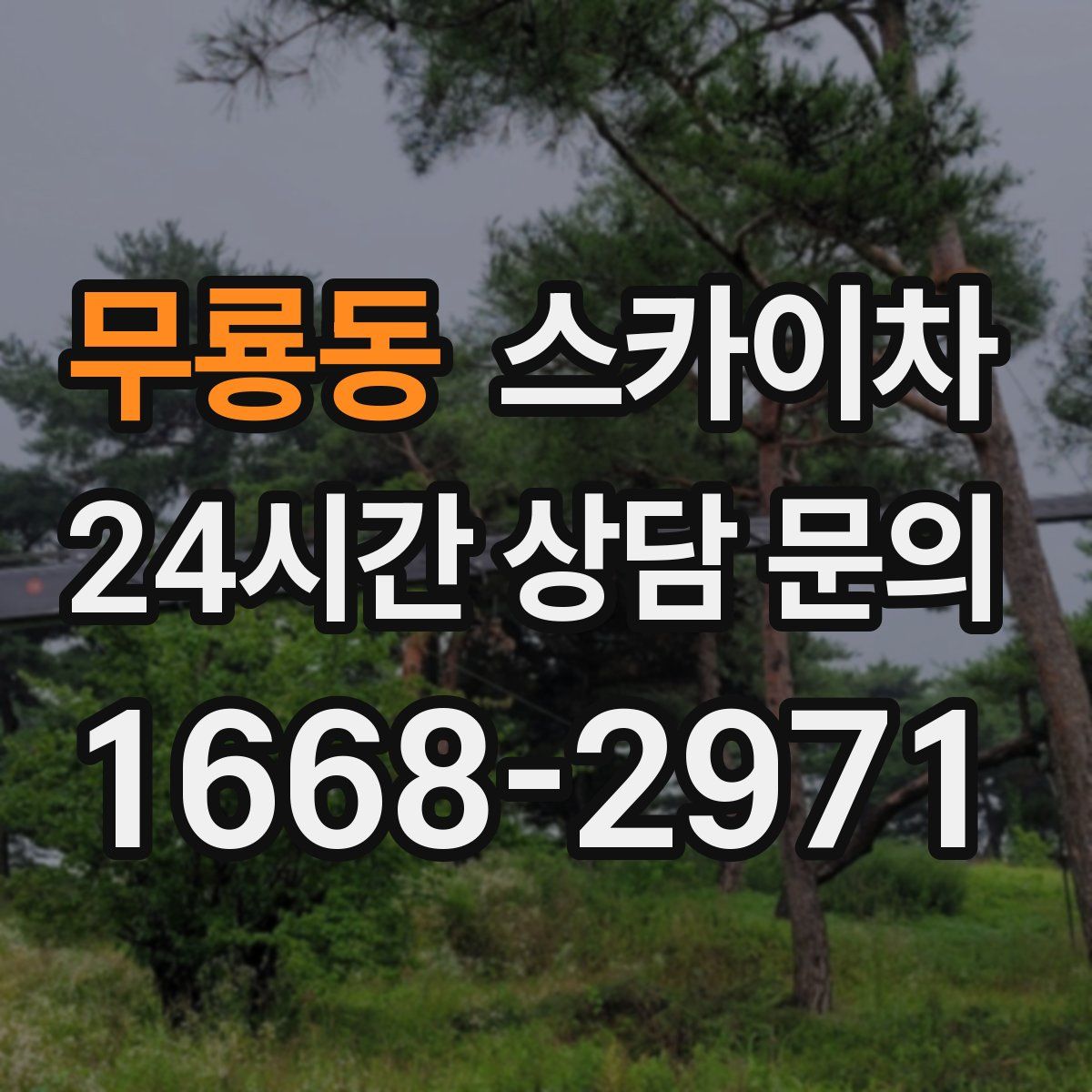 무룡동 스카이차