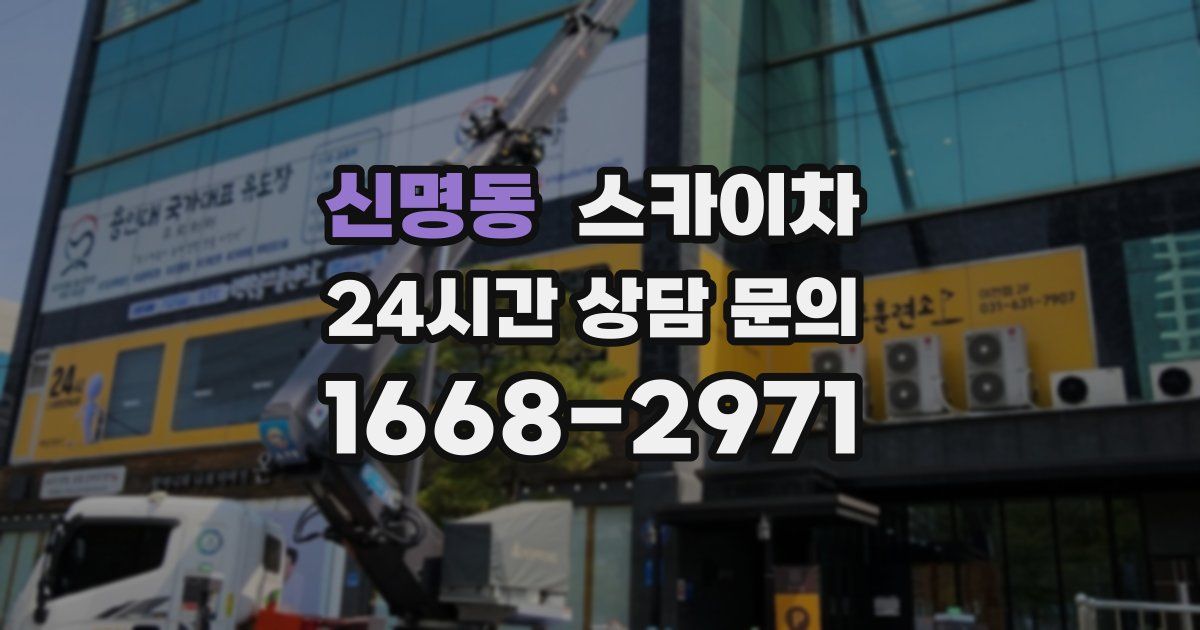 신명동 스카이차