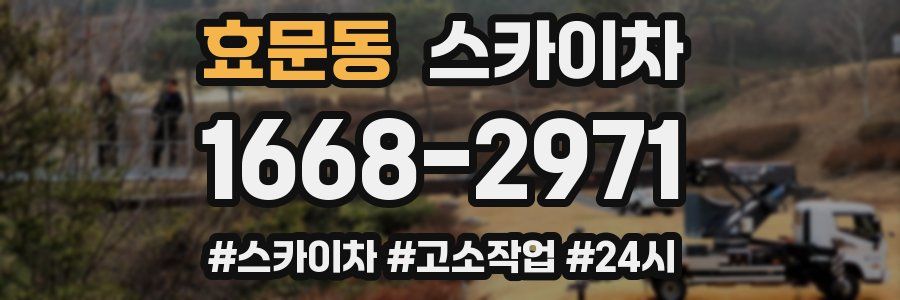 효문동 스카이차