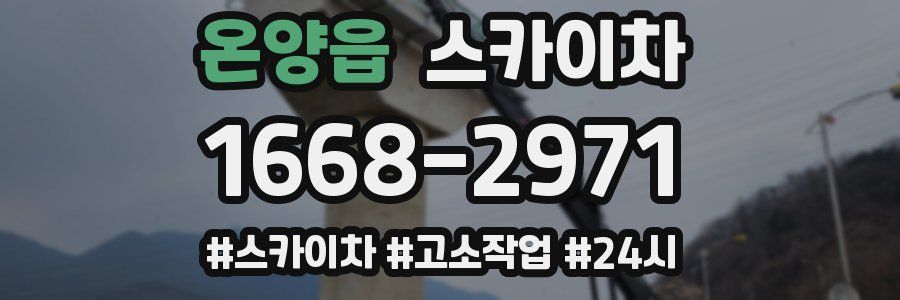 온양읍 스카이차