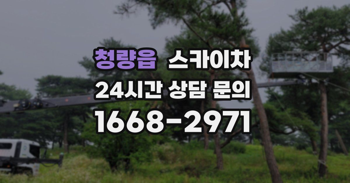 청량읍 스카이차