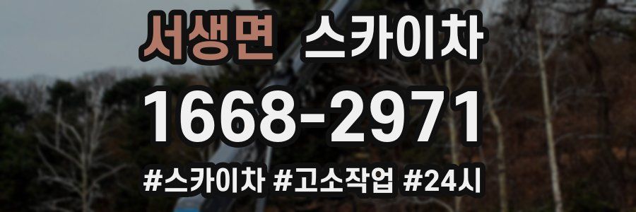 서생면 스카이차