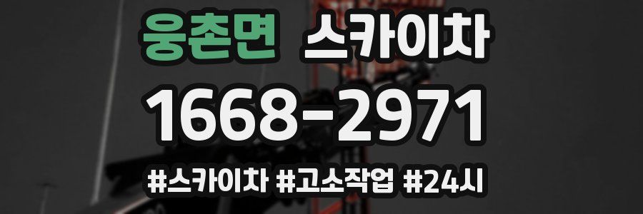 웅촌면 스카이차