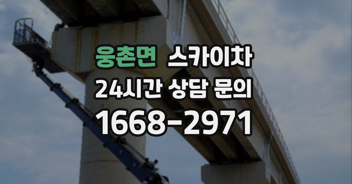 웅촌면 스카이차