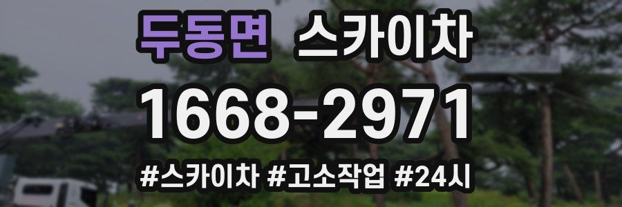 두동면 스카이차