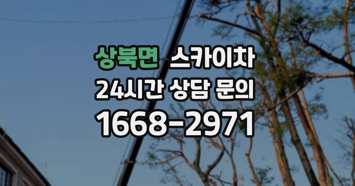 상북면 스카이차