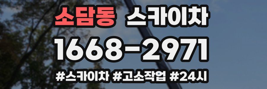 소담동 스카이차
