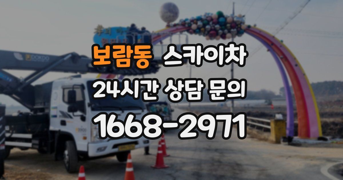 보람동 스카이차