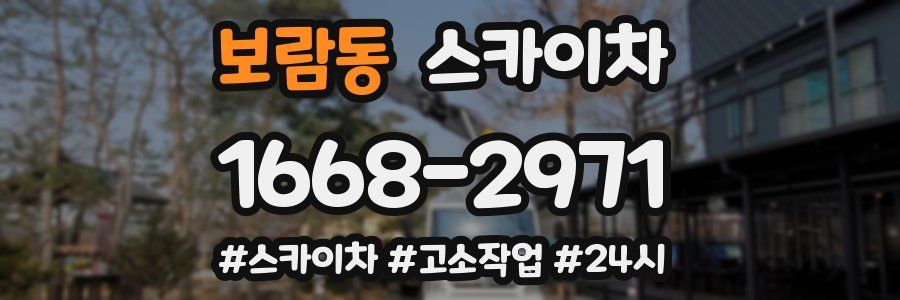 보람동 스카이차