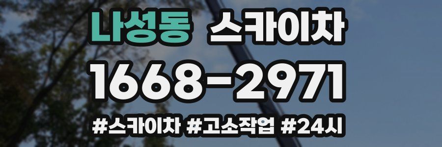 나성동 스카이차
