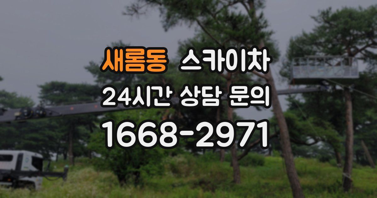 새롬동 스카이차