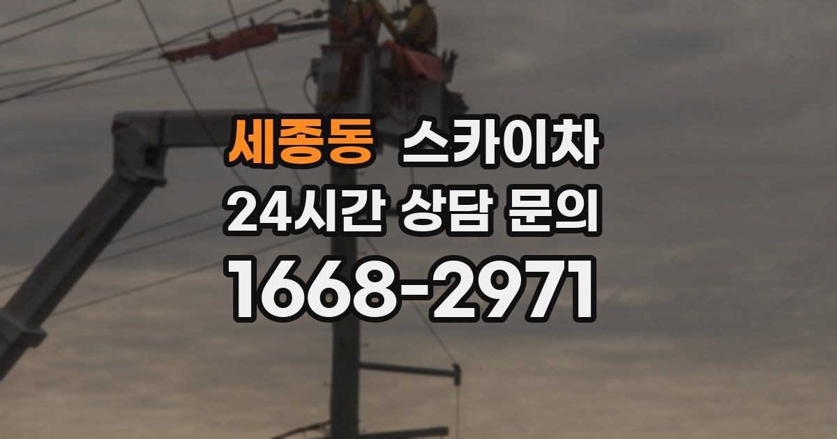 세종동 스카이차