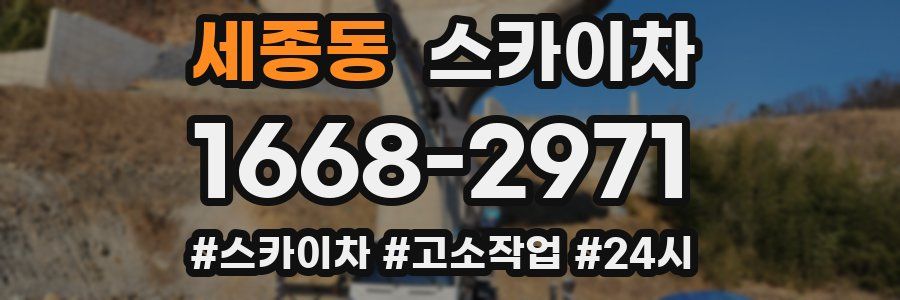 세종동 스카이차