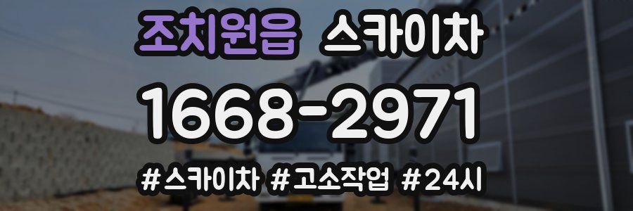 조치원읍 스카이차